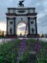 В Курске в парке «Патриот» клены высадили в бетон