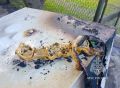 � ������� ������� ���� �� ������ ����� ��� �� ����������� ������� ������������