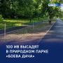 Парк «Боева дача» готовится к зелёному преображению