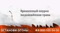 Присоединяйтесь к акции «Останови огонь!»