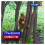 2 июня, вторник. Сегодня День здорового питания и отказа от излишеств в еде