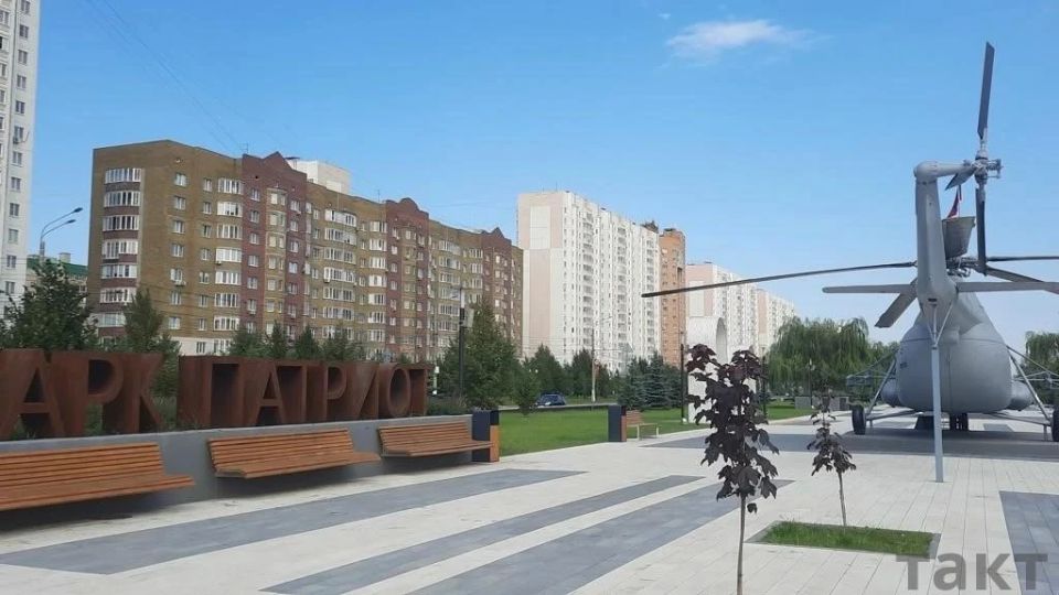 В Курске в парке «Патриот» высадили клён в бетон