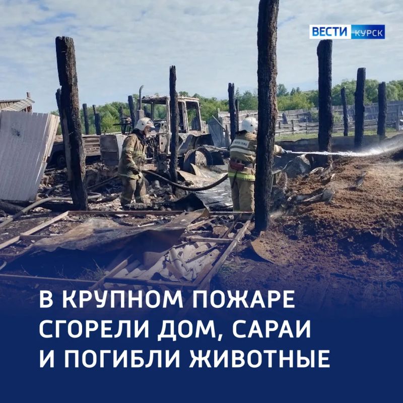 700 квадратов пепла: пожар уничтожил дом и хозяйство