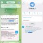 ��������� ������� ������������� Telegram ����� �������� ����������� �� �������� ��������