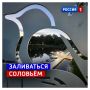 5 ����, �������. ������� ���������������� �������� �������� ���������� �������
