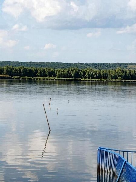 В Курской области СК расследует смерть 15-летнего подростка