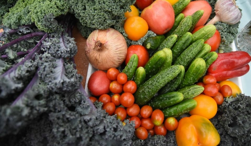 В Курской области розничная торговля выросла на 5,6% в первом квартале