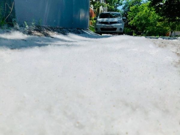 В Курской области погодные качели спровоцировали «пуховой взрыв»