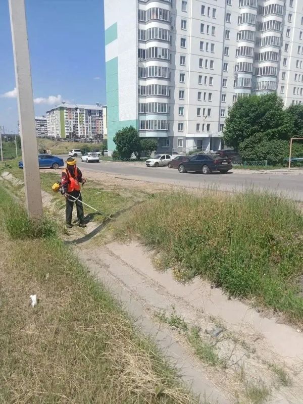 Друзья, всех приветствую. Несмотря на то, что сейчас нахожусь в командировке, я на связи