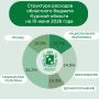 Информация о ходе исполнения областного бюджета Курской области