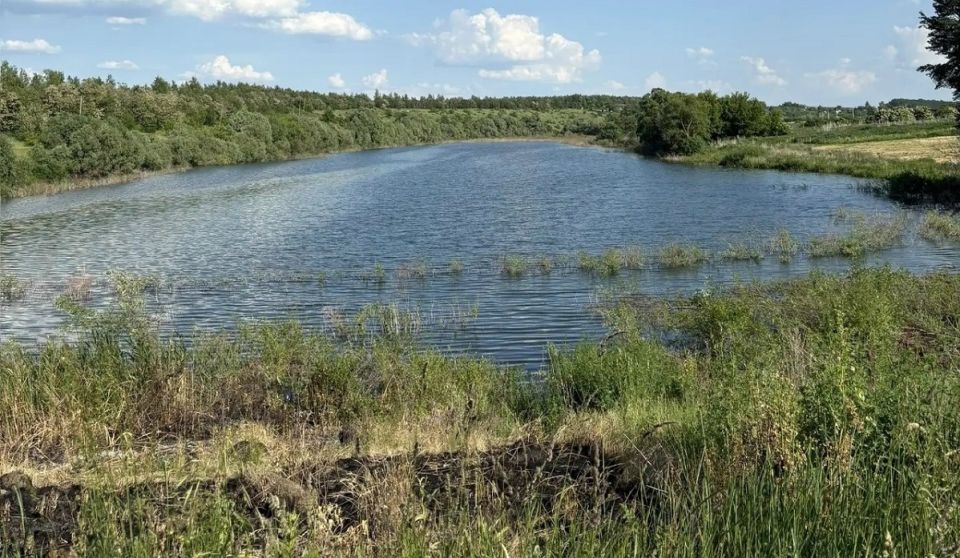 В Курской области собственник восстановил пруд в селе Ноздрачёво