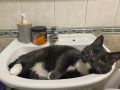 11 улиц Курска остались без холодной воды