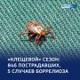 Тревожная статистика сезона: почти 850 жертв клещей