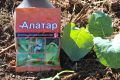 Как «Алатар» победил вредителей: испытания и результаты