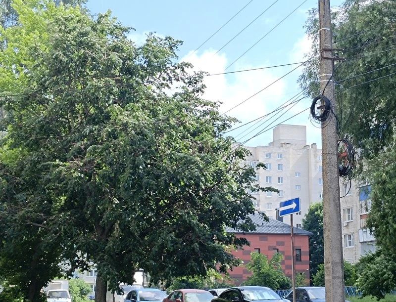 В Курске 14 июня днём будет до 25 градусов тепла