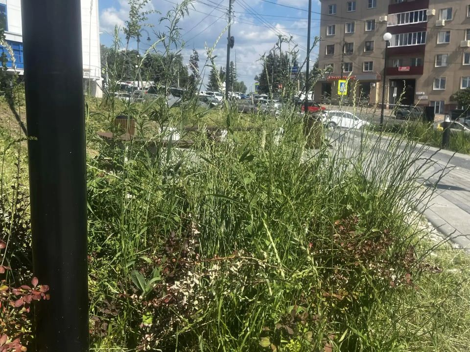 В Курске пересмотрят расценки на содержание парков и скверов