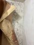 Как избавиться от плесени: советы для вашего дома