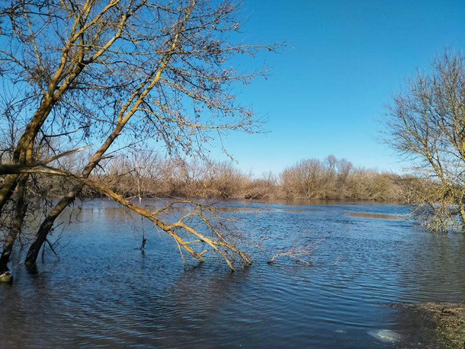 В Курске на воде погиб один человек