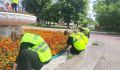 В Курске пропалывают и рыхлят клумбы с однолетниками