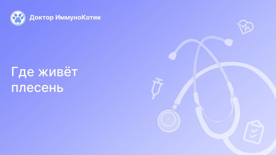 Неожиданные укрытия плесени