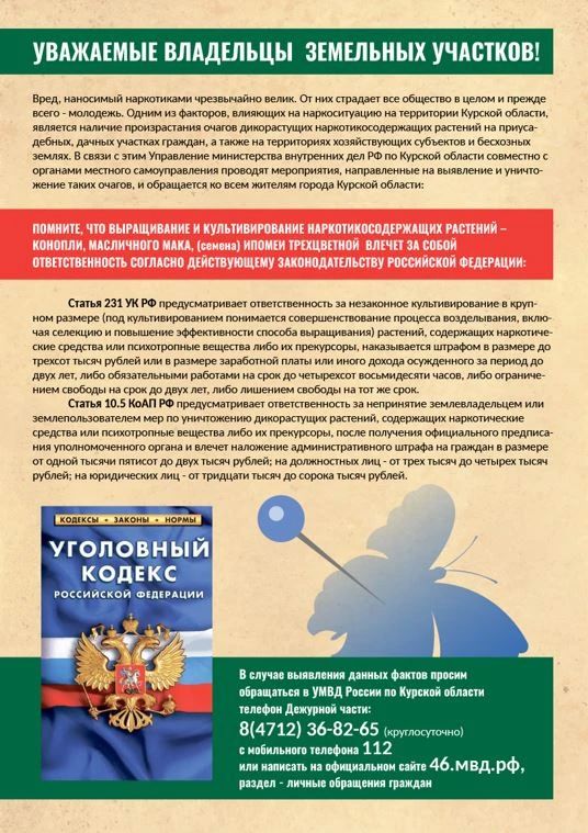 В Курской области проходит антинаркотический месячник «Курский край — без наркотиков!»
