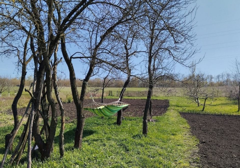 Курянам разъяснили порядок действий при несогласии с границами земельного участка