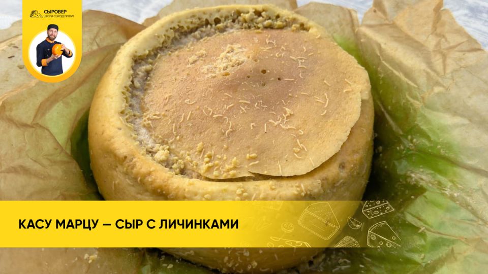 Путешествие в мир касу марцу: сыр с личинками Сардинии