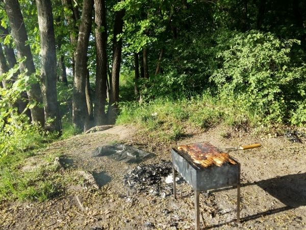 В Курской области космический мониторинг зафиксировал 604 возможных пожара