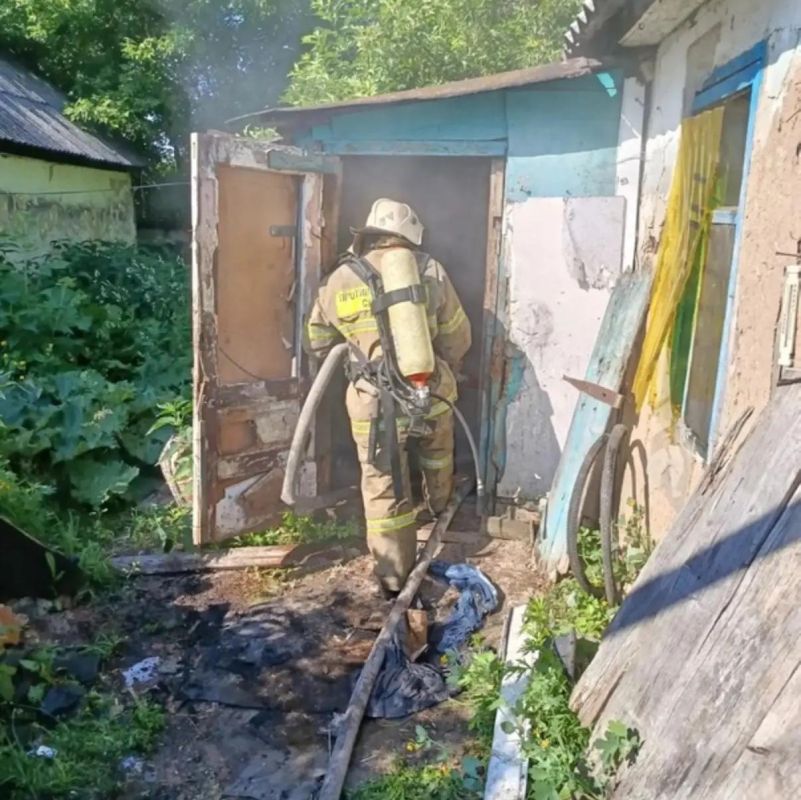 В Курской области сгорел сарай из-за брошенного окурка