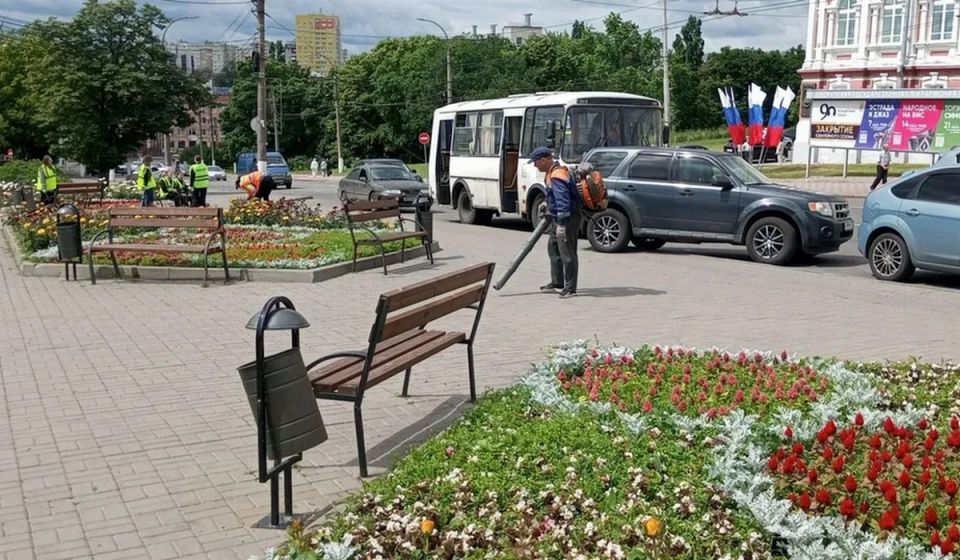 В Курске высадили цветы в скверах Рокоссовского, на Звездной и Майском бульваре