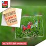 Финальная экскурсия по выставке «Без коня и жизнь не та»!