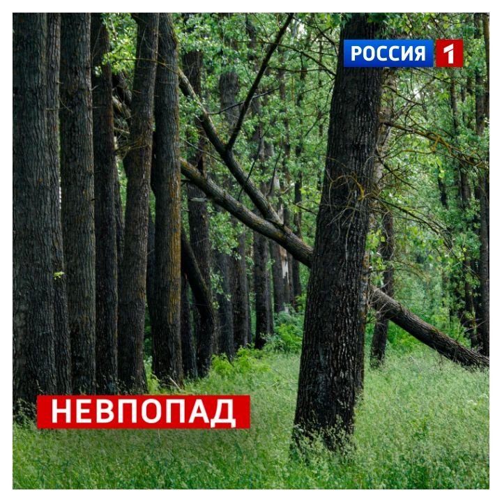 18 июня, четверг. Кажется, календарь над нами подшучивает — сегодня Международный день пикника