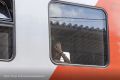 ������������ ������ ���������� � ������� ������� ��-�� ������ ���������