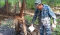 В Курской области инспекторы провели 113 рейдов по охране животных