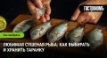 Как выбрать и хранить сушеную таранку: советы экспертов