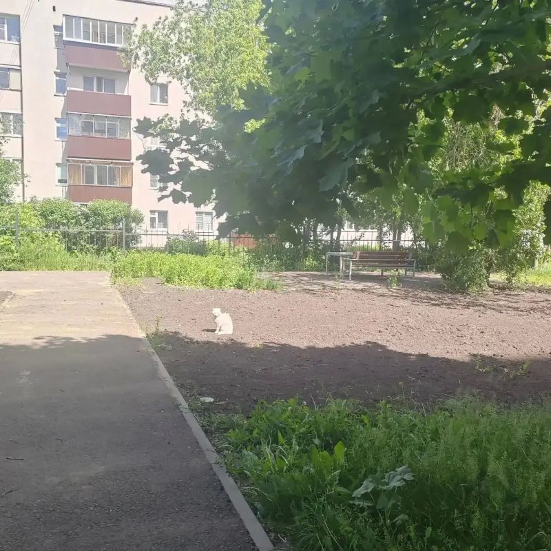 Курская инспекция ЖКХ отремонтировала два смотровых колодца