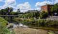 В Курской области расторгли контракт на расчистку реки Тускарь