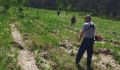 В Курской области оценили весенние посадки леса