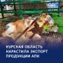 Масло, мясо и молоко: почти миллиард — на экспорте