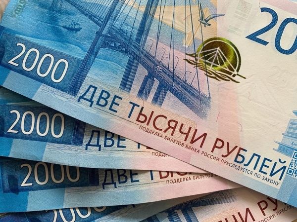 Приставы рассказали, как курянам-должникам сохранить прожиточный минимум