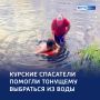 Помощь утопающим: в Курске спасатели вытащили человека из воды