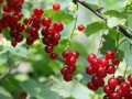 �������� ����� ��� ������ ������: ������ �������� ������ �������, ������� ��������� ��� ��������� � �������