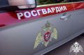 В Курской области при разминировании взрывного устройства в Рыльске погиб взрывотехник