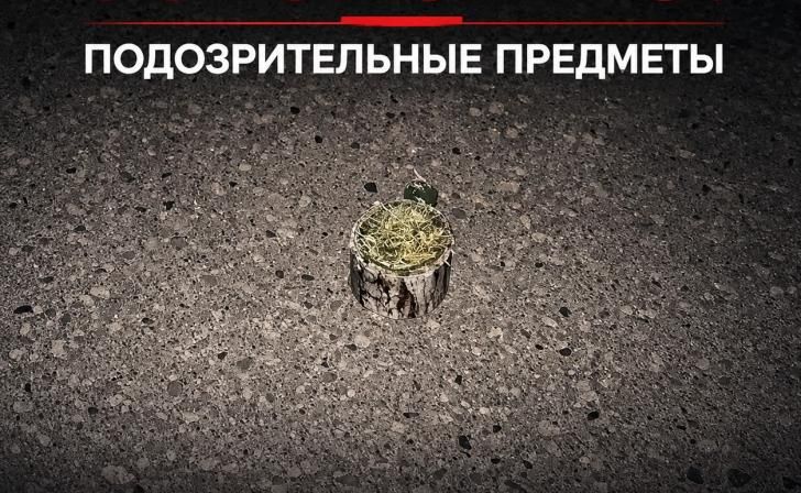 В Рыльском районе противник применил дистанционное минирование