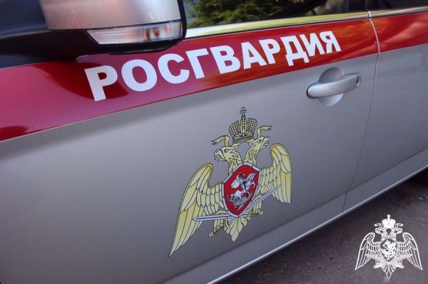 В Курской области при разминировании взрывного устройства в Рыльске погиб взрывотехник