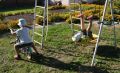 В школьных лагерях Курска отдохнули почти 8,5 тыс.детей