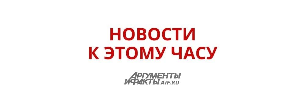 Глава района и еще три человека ранены при подрыве автомобиля в Курской области