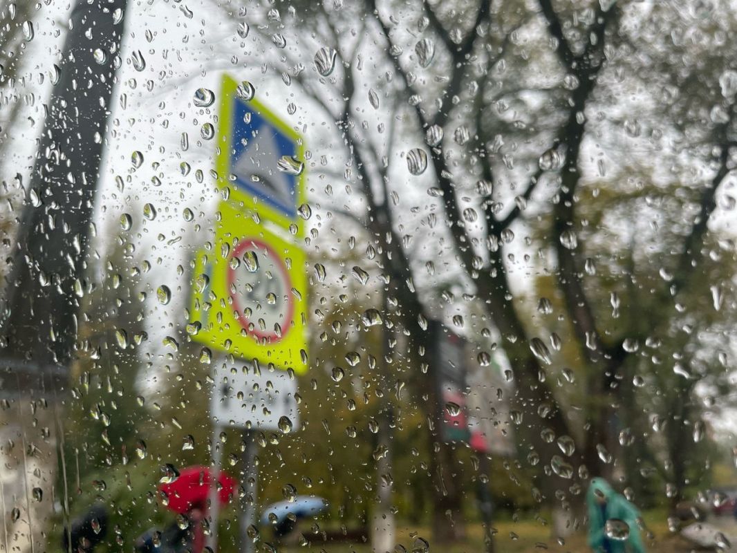 В Курской области 4 июля похолодает до +25 градусов