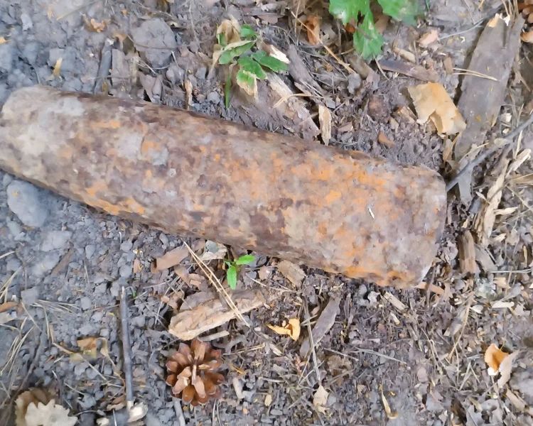 В Курской области нашли артиллерийский снаряд в селе Снижа