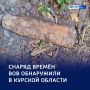 Боеприпас времён ВОВ нашли в Курской области